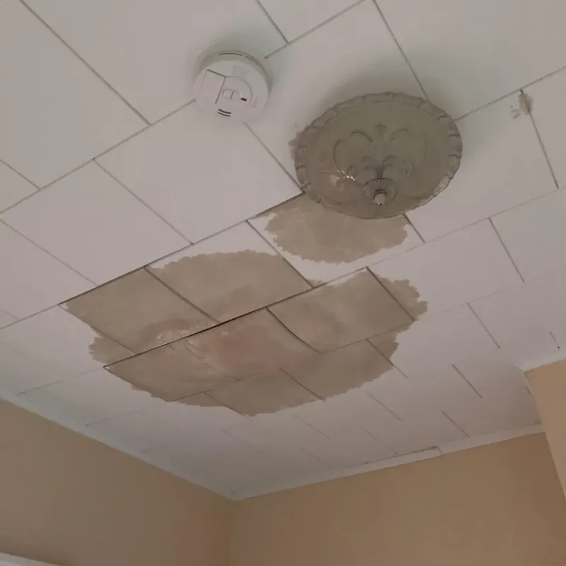 Ceiling Water Damage Repair in Memphis, TX