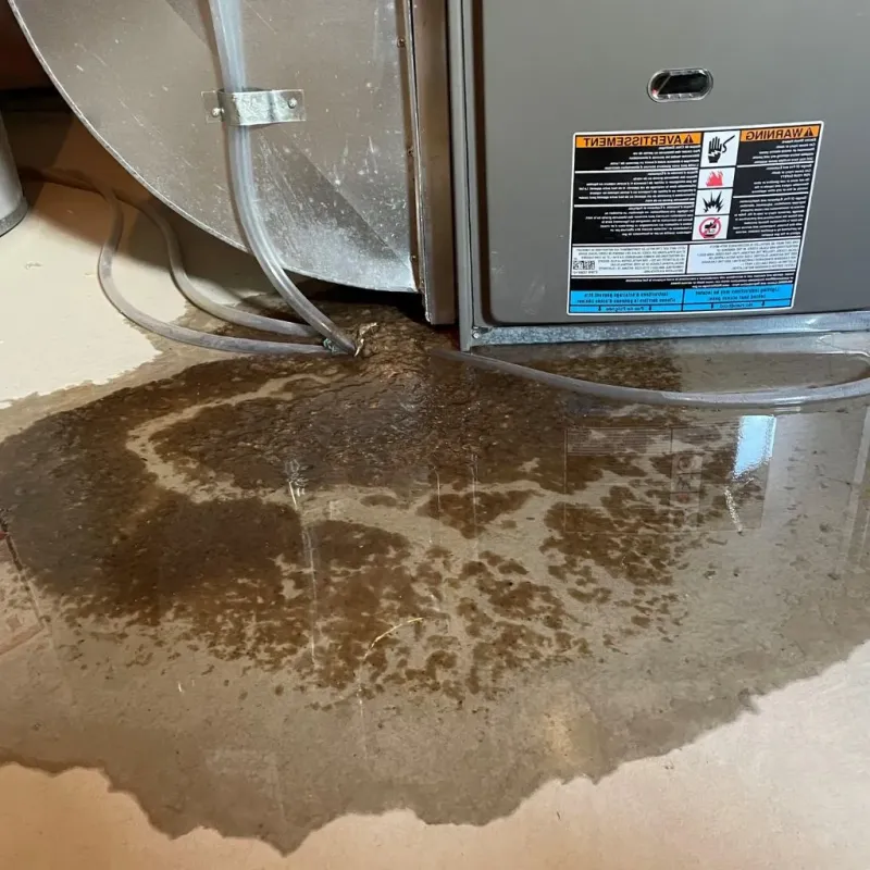Pipe Burst and Leak Restoration in Memphis, TX