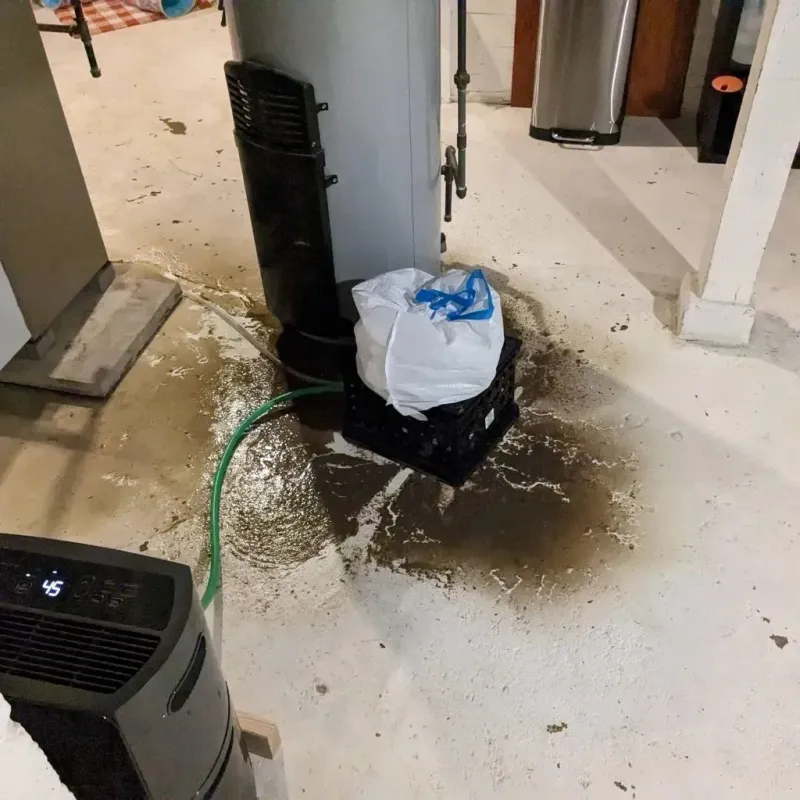 Sewage Backup Cleanup Service in Memphis, TX